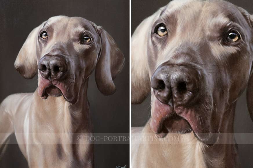 Painting Of A Brown Weimaraner Dog Looking At You On