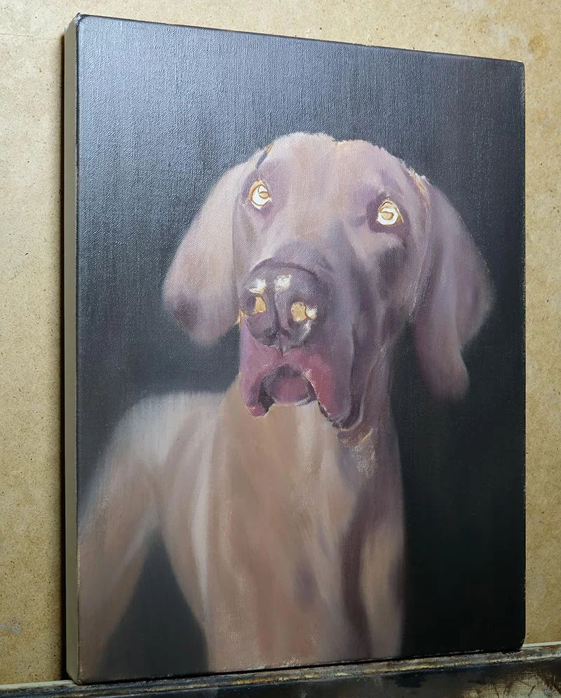 Initial layers of the Weimaraner oil painting, blocking in colors and form
