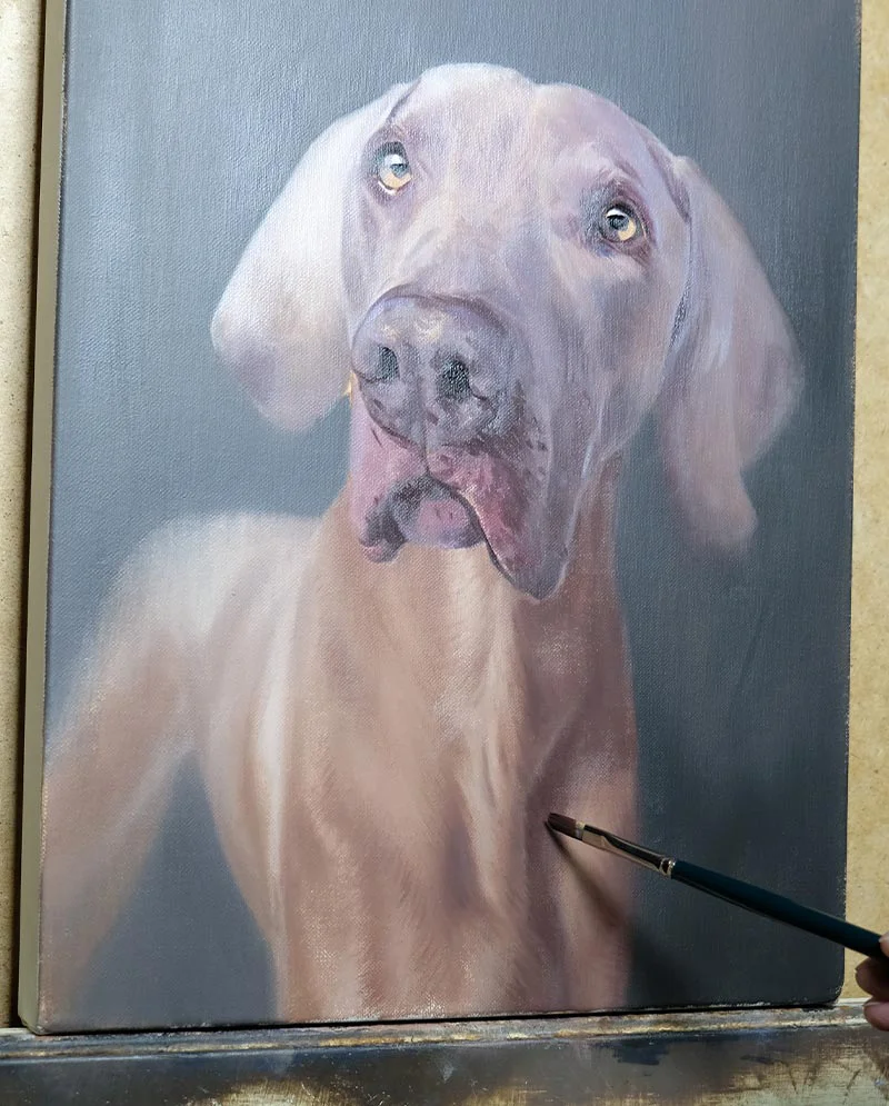 Refining features of the Weimaraner painting in progress, focusing on facial details