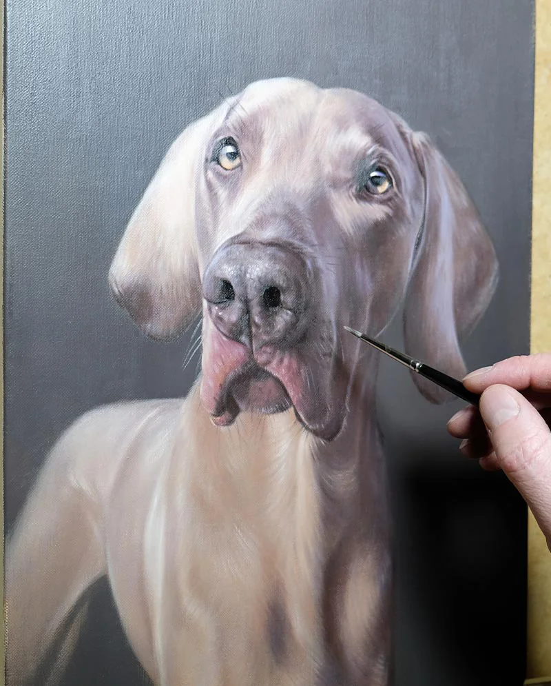 Close-up detail of the Weimaraner oil portrait, showcasing the realism of the fur and eyes