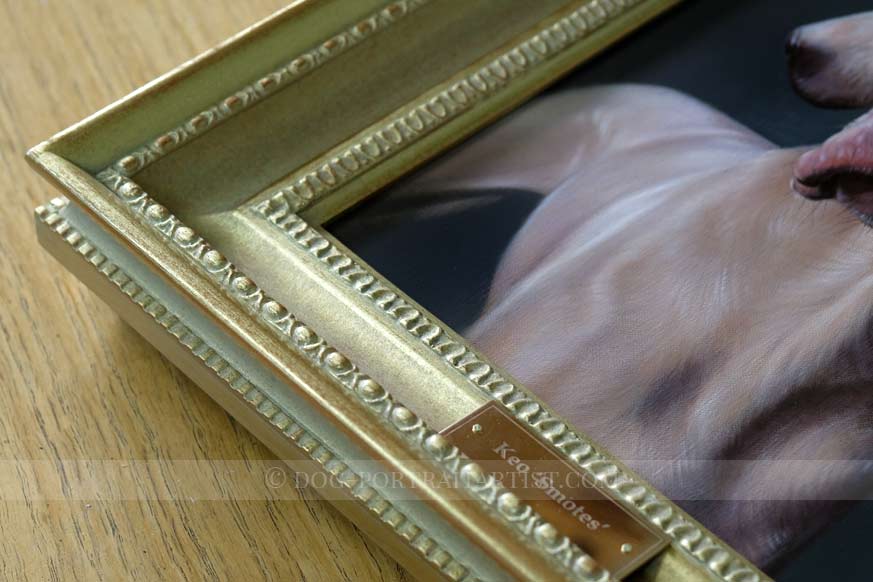 Weimaraner Portrait Framed