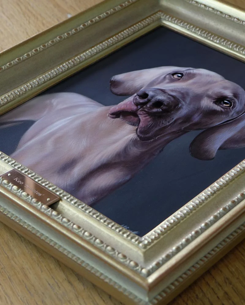 Framed Weimaraner portrait of Keo, ready to be hung in a home