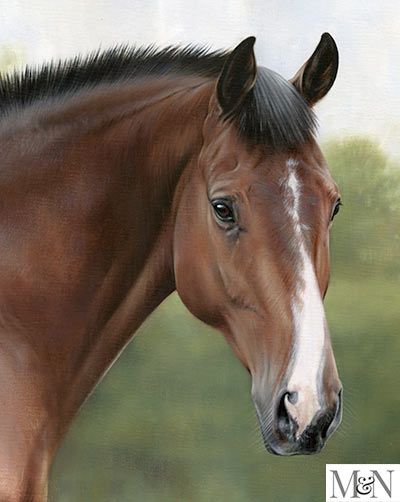 equine oil portrait