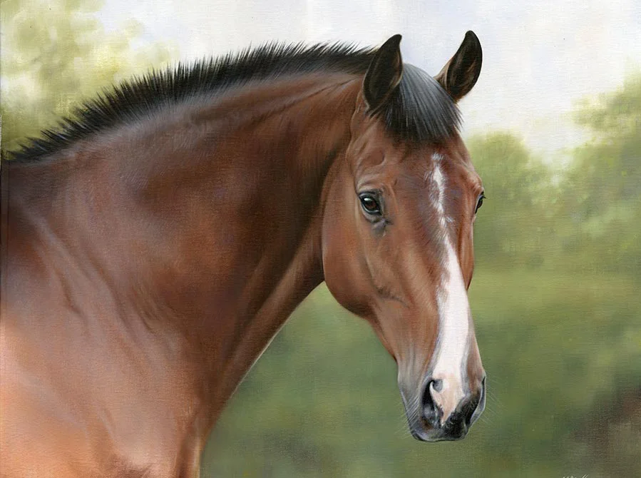 Cheeky the horse, equine oil portrait by Nicholas Beall