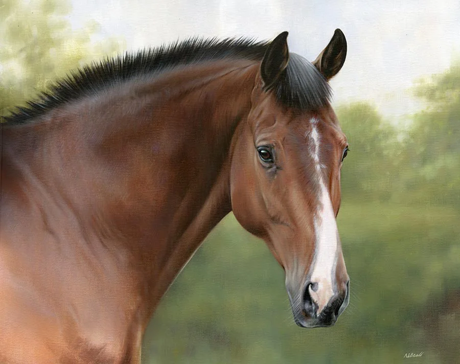 Horse Portrait in Oils by Nicholas Beall Horse portrait in oils by Nicholas Beall, showing a detailed stage of painting.