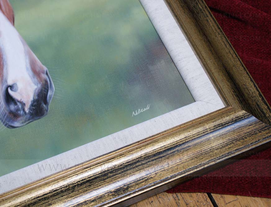 Horse Equine Portraits Close up Framed