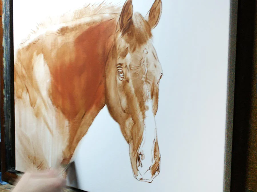 Equine Oil Portrait – Early Painting Stages Equine oil portrait of Cool Clover showing early painting stages and initial brushwork.