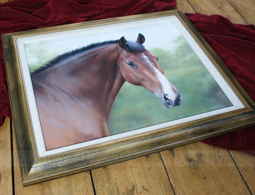 Horse Equine Portraits Framed