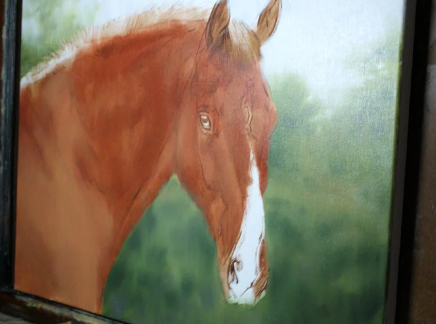 Horse Portrait in Oils – Work in Progress Horse portrait of Cool Clover in oils, showing work in progress and developing details.