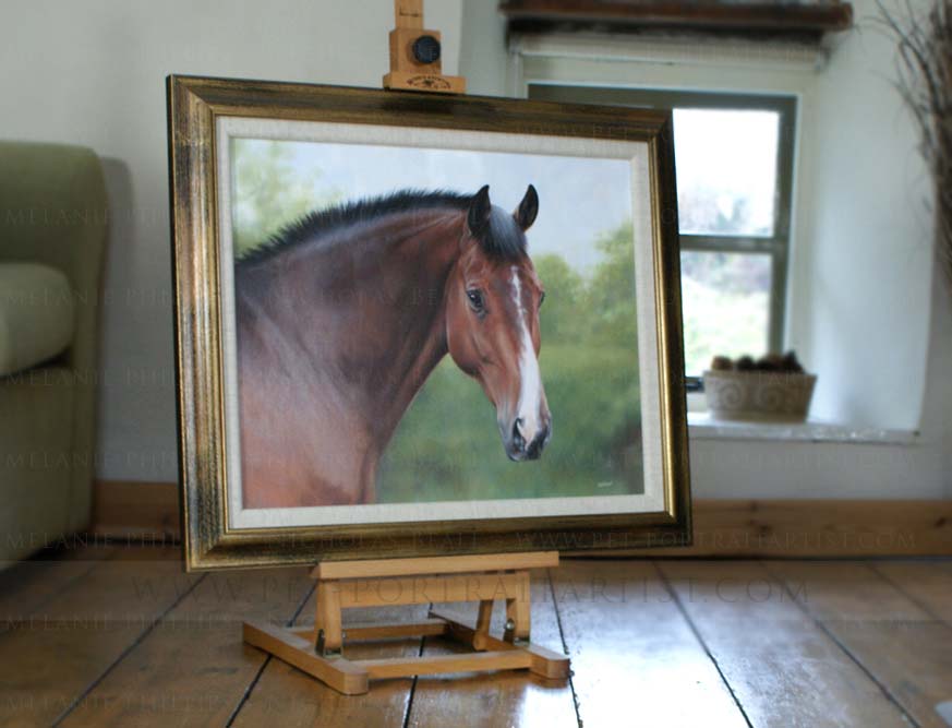 Horse Equine Portraits Framed on the Mini Easel