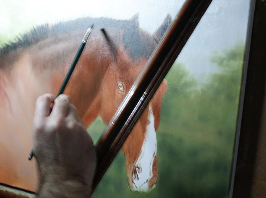Equine Portrait – Building Colour and Form Equine portrait of Cool Clover, showing building of color and form.