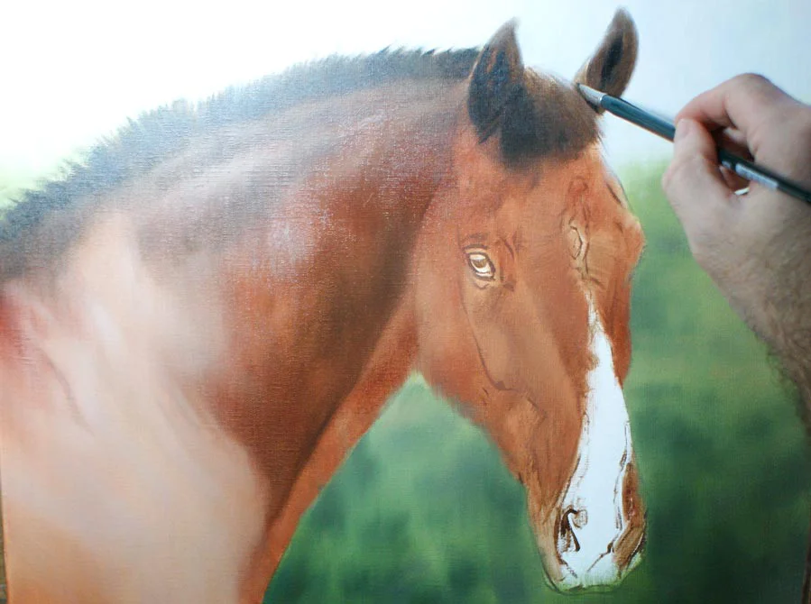 Oil Painting of Horse – Layer Development Oil painting of Cool Clover the horse, showing layer development.