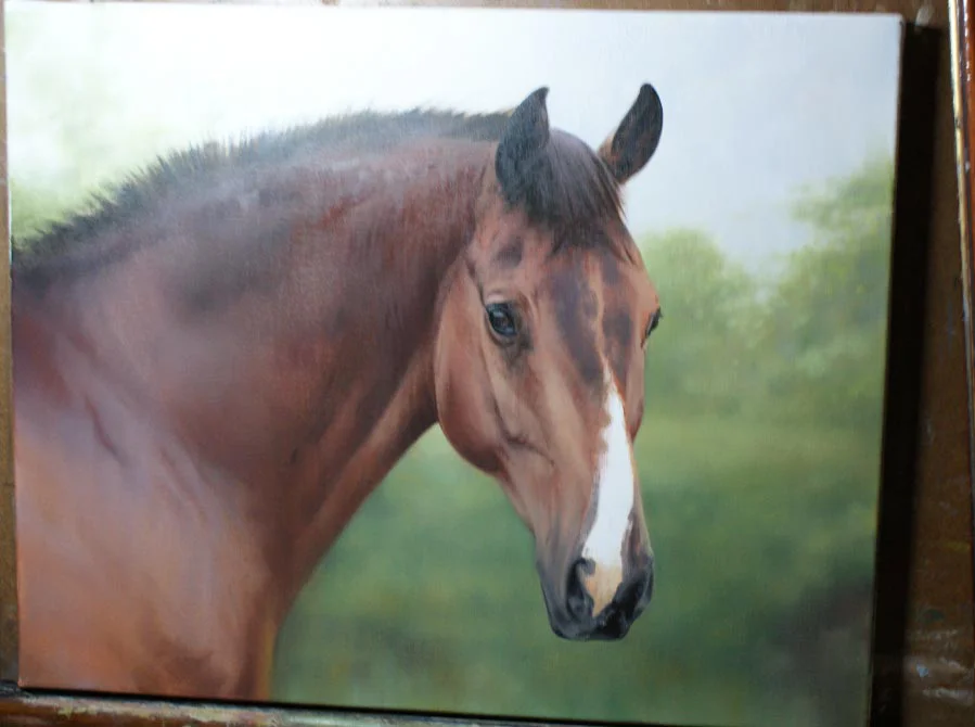 Horse Portrait in Oils – Detail Close-Up Horse portrait of Cool Clover in oils, showing a detail close-up.