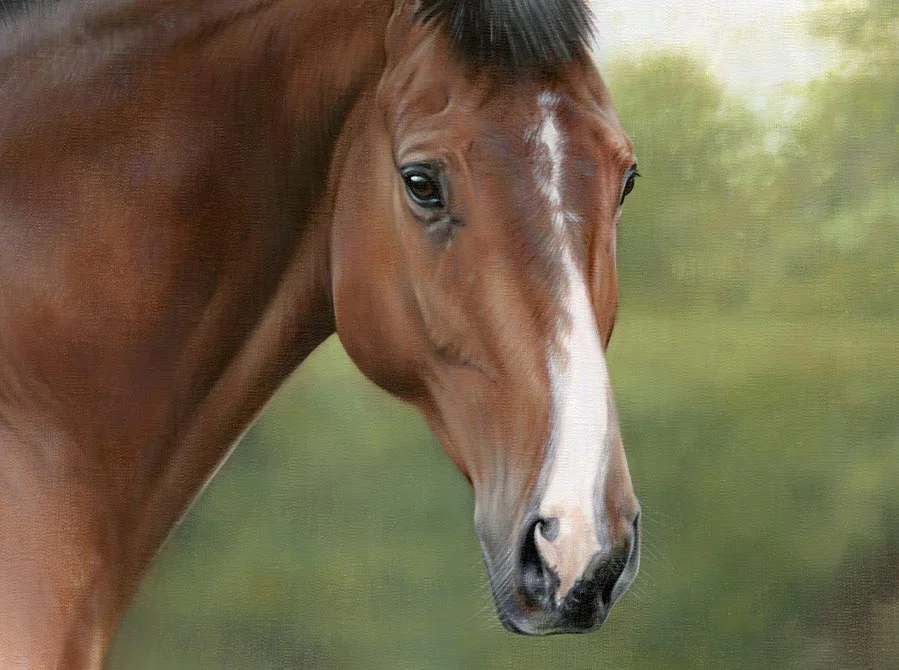 Close-Up of Equine Portrait – Brushwork and Texture Close-up of Cool Clover's equine portrait, highlighting brushwork and texture.