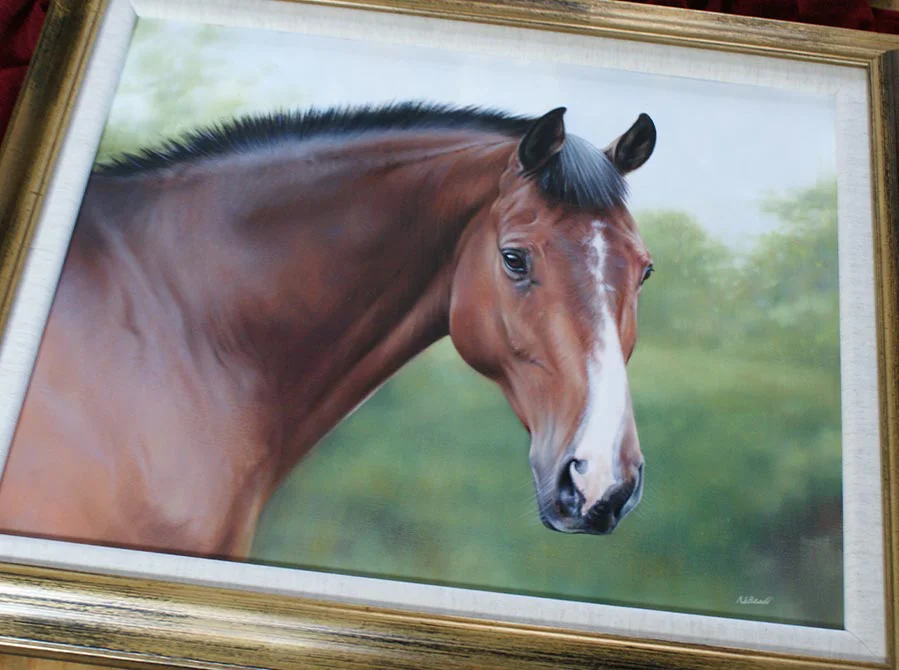 Framed Equine Portrait in Oils Framed equine portrait of Cool Clover in oils, ready for display.