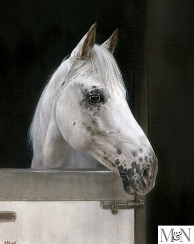 Horse Oil Portraits