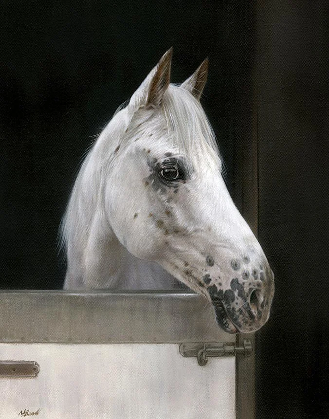 Ariel the horse, equine oil portrait by Nicholas Beall