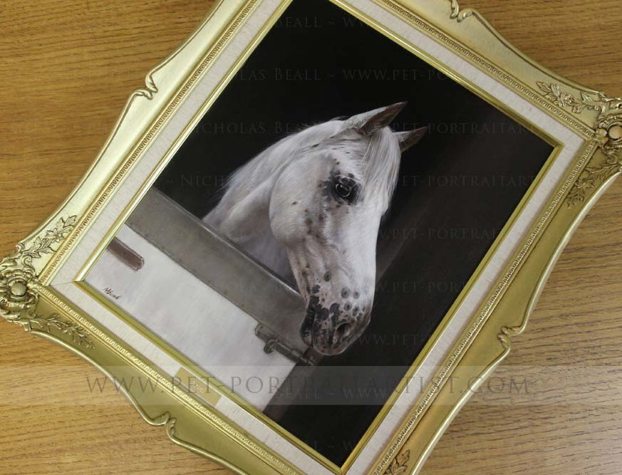 Equine Portraits Framed