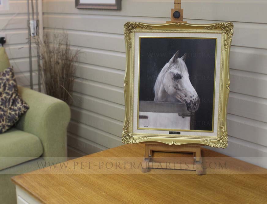 Framed Pet Portraits