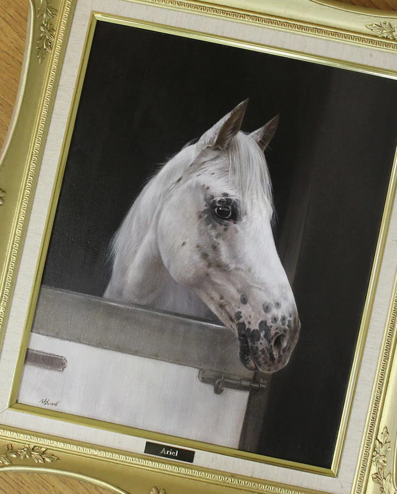 Framed Horse Oil Portrait by Nicholas Beall Framed horse oil portrait of Ariel by Nicholas Beall, ready for display.