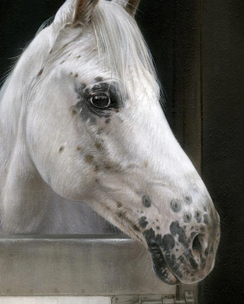 Horse Portrait Detail – Oil Painting Close-Up of Ariel Close-up detail of Ariel's horse oil portrait, showing refined brushwork and texture.