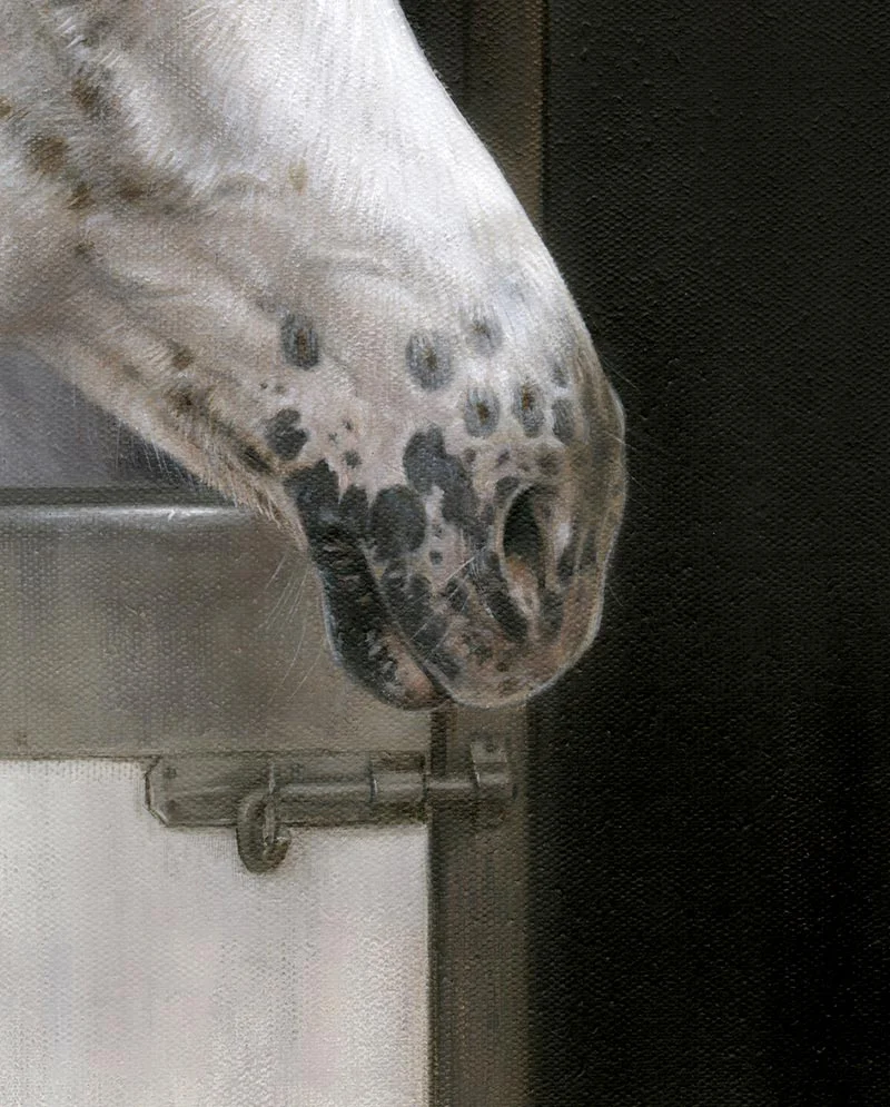 Close-Up of Final Horse Portrait of Ariel in Oils Close-up of the final horse portrait of Ariel in oils, showcasing the finished details.