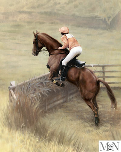 Horse jumping portrait 