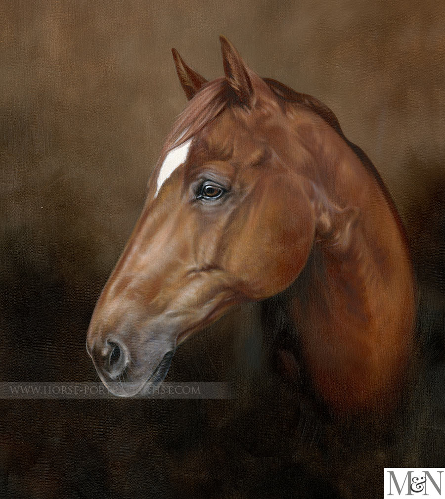 Horse Portraits by Nicholas Beall