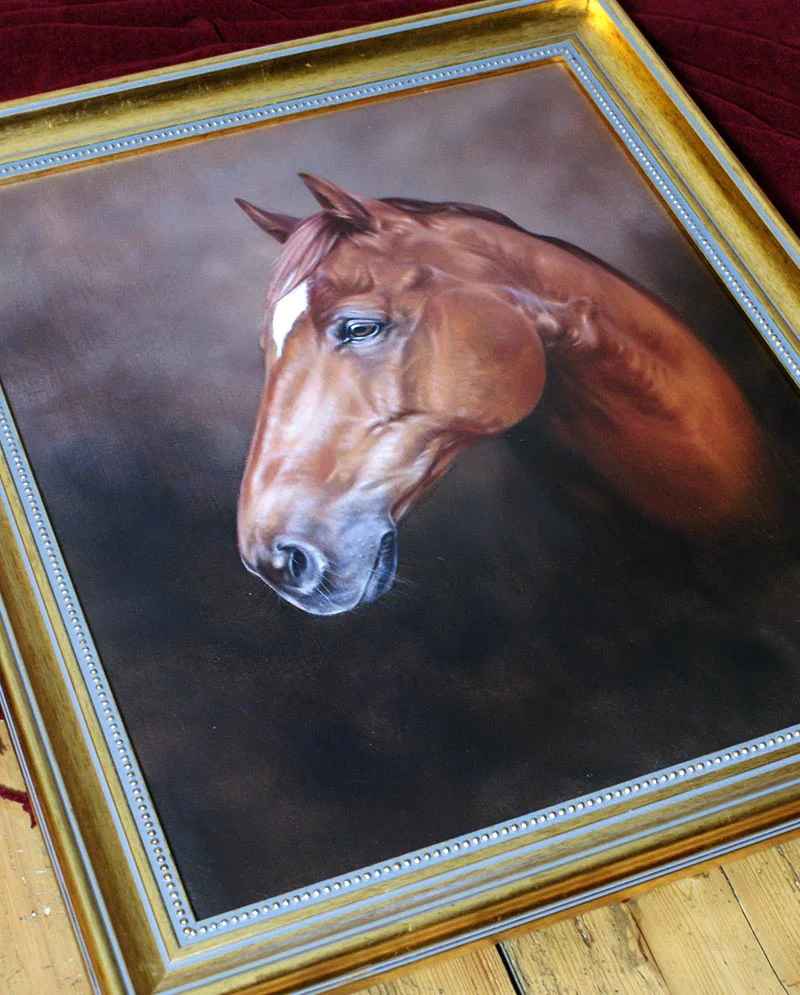 Framed horse portrait of George, ready for display.