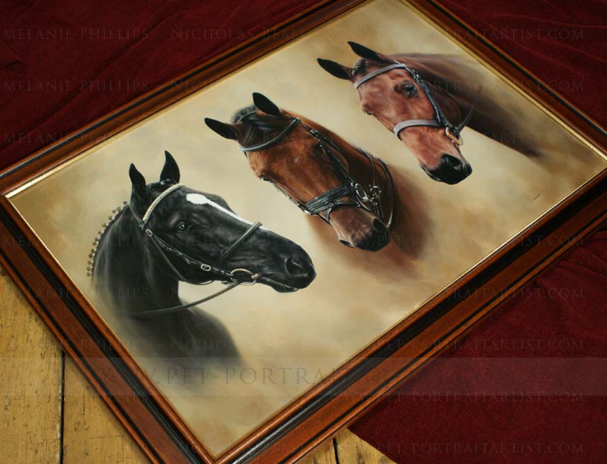 Three Horse Portrait Framed