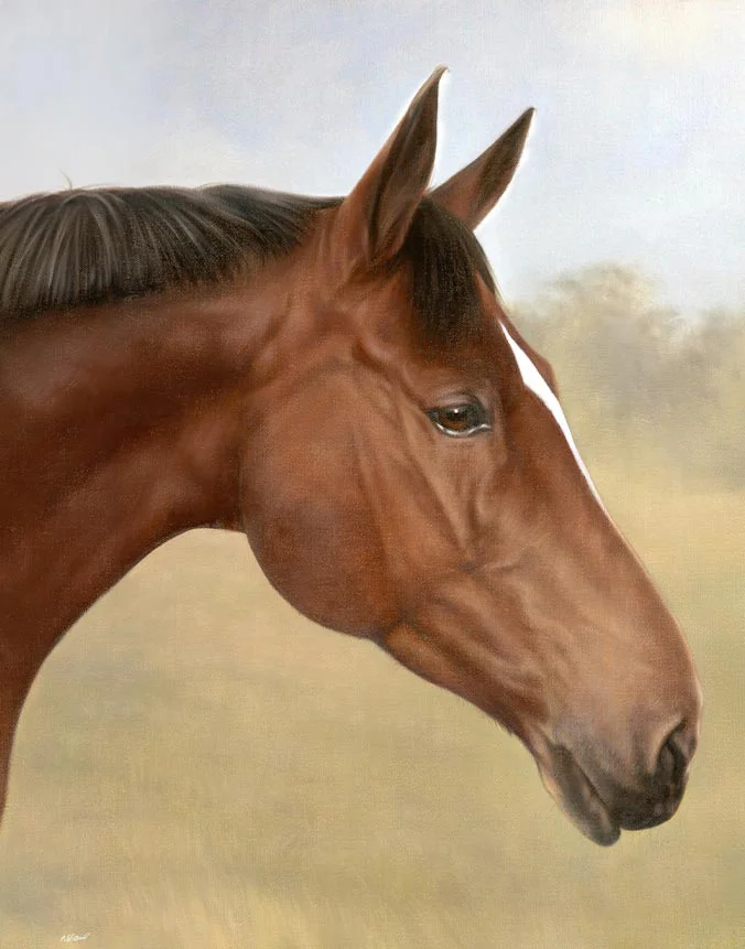 Tequilla the horse (Donny), oil portrait on linen canvas by Nicholas Beall