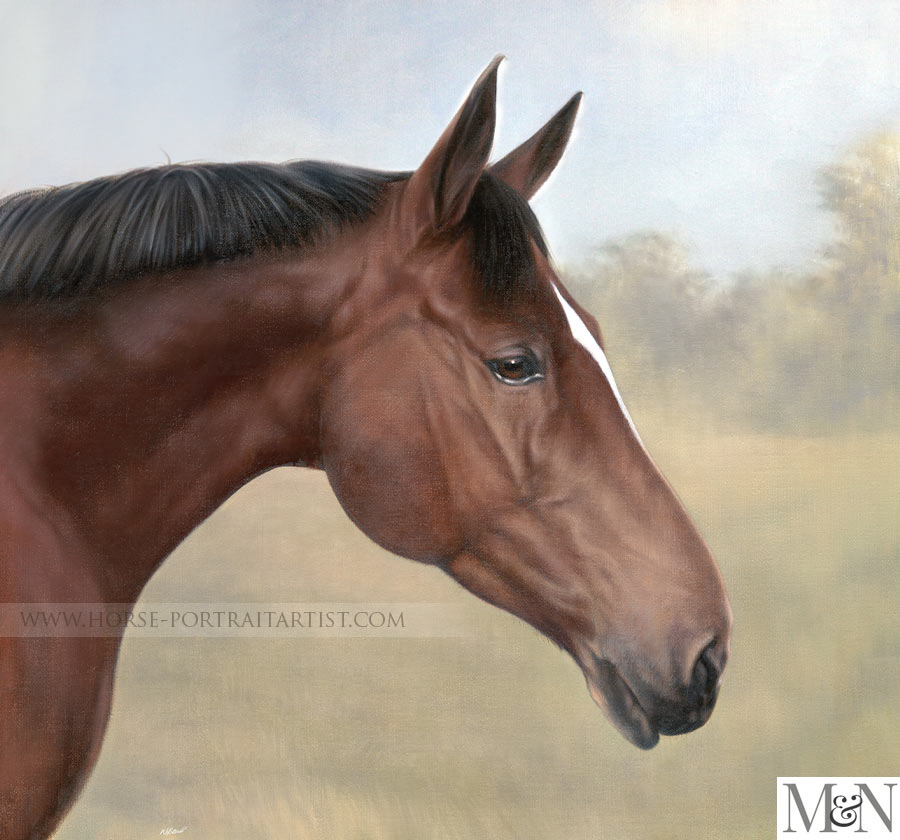 Horse Oil Portraits