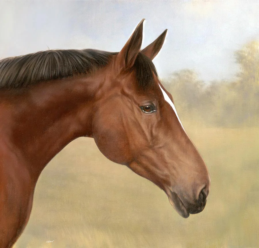 Horse Oil Portrait of Tequilla Completed horse oil portrait of Tequilla, also known as Donny, in a side-on profile.