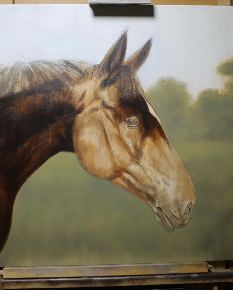 Oil Painting of Horse – Developing Background Oil painting of Tequilla the horse, showing the developing background.