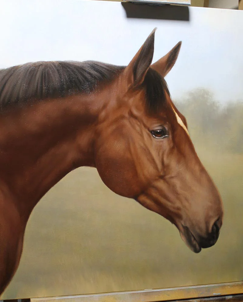 Horse Oil Painting – Finishing Details Horse oil painting of Tequilla, showing finishing details and final touches.