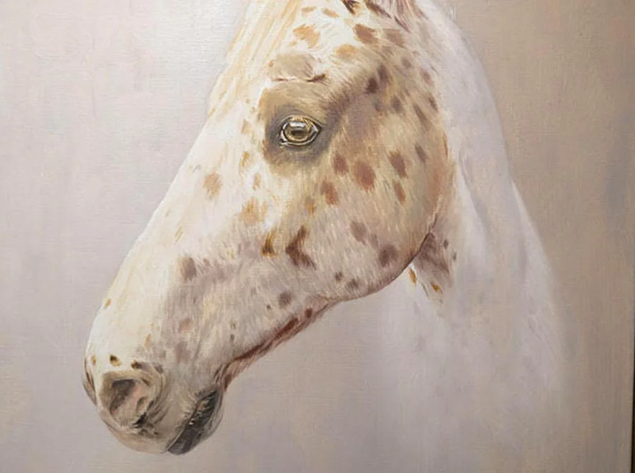 Horse Portrait in Oils – Underpainting Stage Horse portrait in oils showing the underpainting stage.