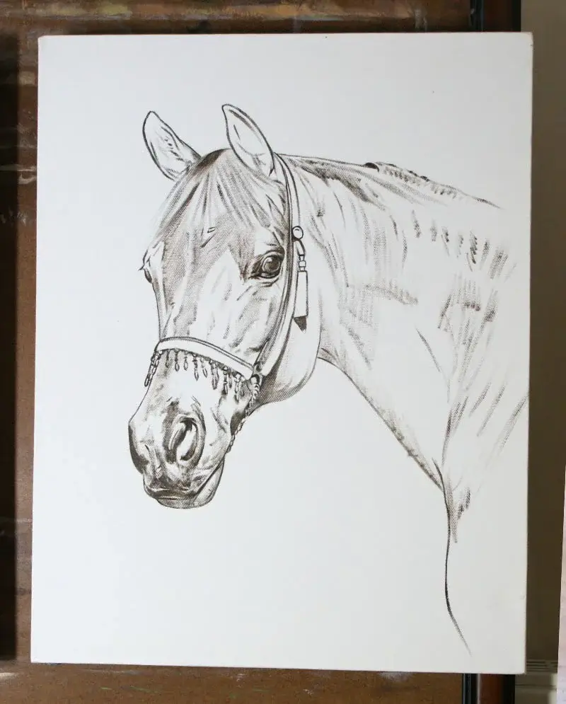Kharisma’s Portrait – Layering in Progress Kharisma’s horse portrait in oils, showing layering in progress with initial colors and forms.