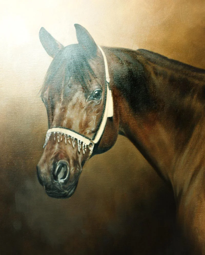 Horse Portrait in Oils – Kharisma’s Progress Shot