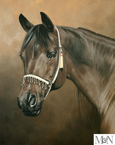 Horse Portrait In Oils By Nick Beall