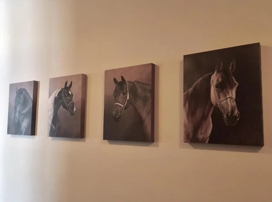 Horse Portrait