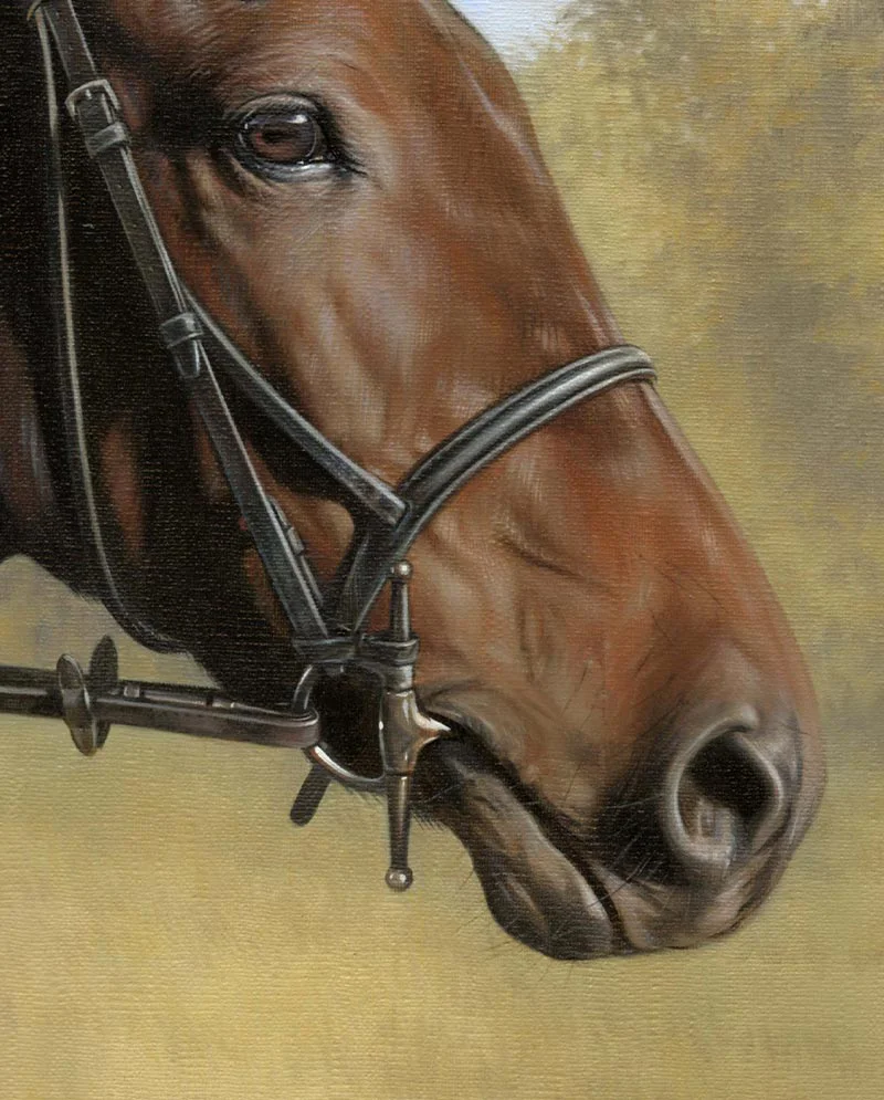Equine Portrait in Oils – In Progress Equine Portrait in Oils – In Progress