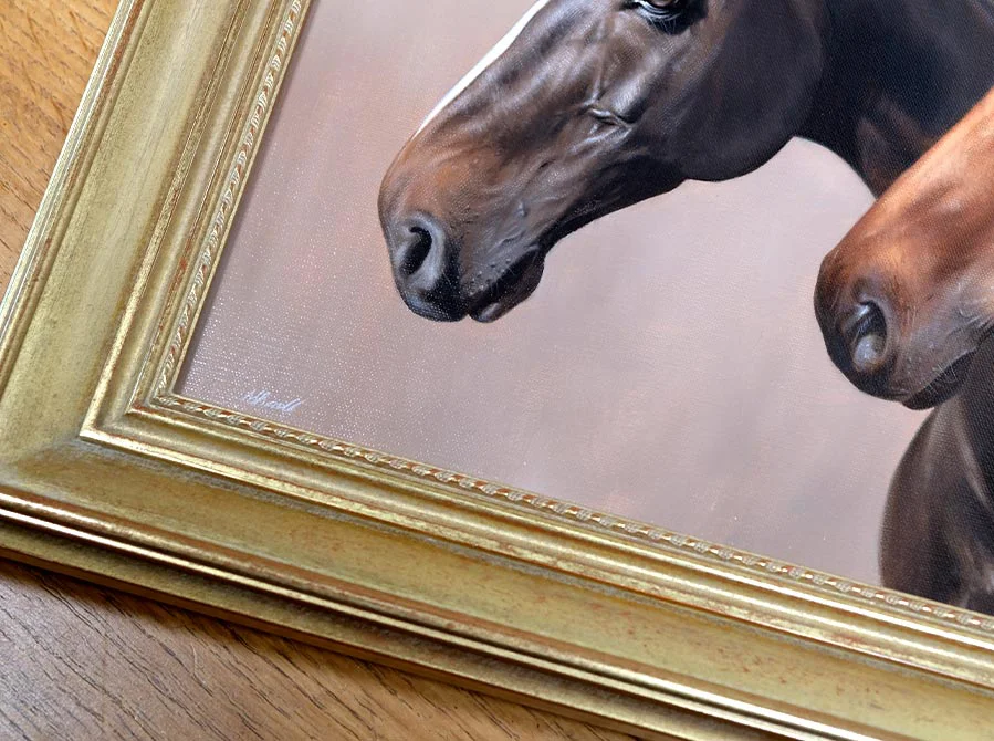 Two Horse Heads in Oils – Framed and Displayed Two horse heads in oils, framed and displayed.