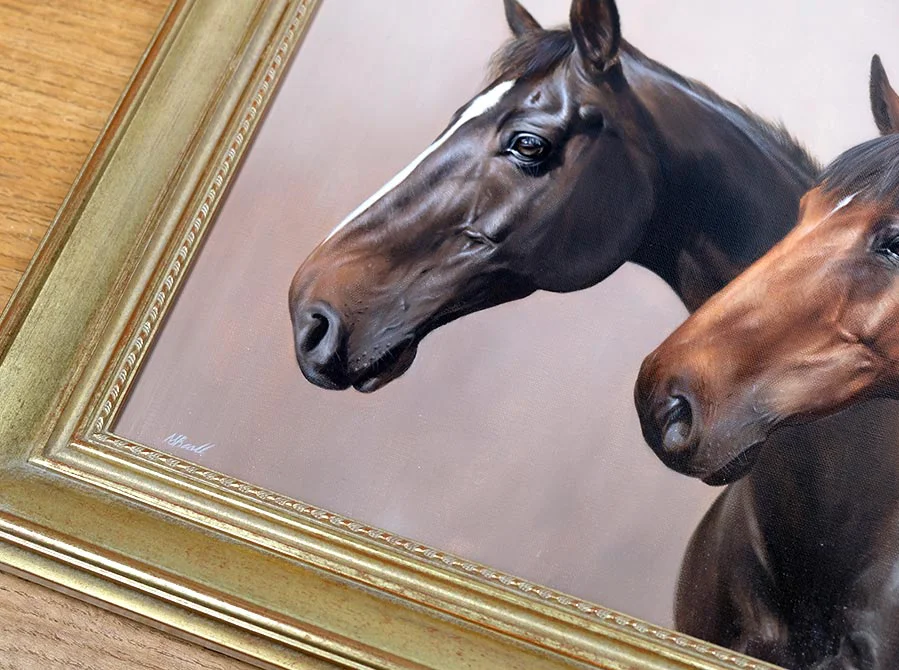 Horse Portraits in Oils – Framed or Detail Angle Horse portraits of Alfie and Max in oils, showing framed or detail angle.