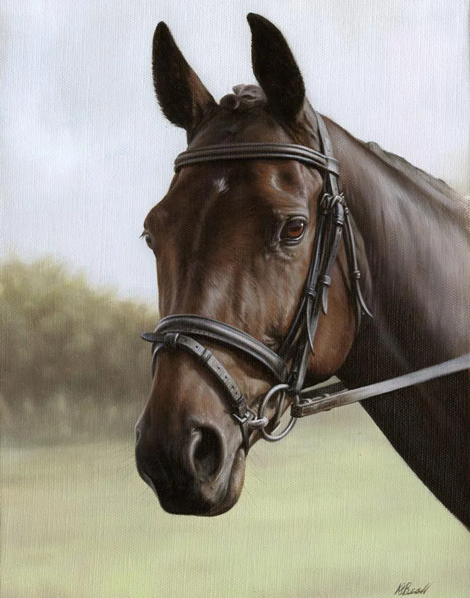 Leah the horse, portrait in oil with tack by Nicholas Beall