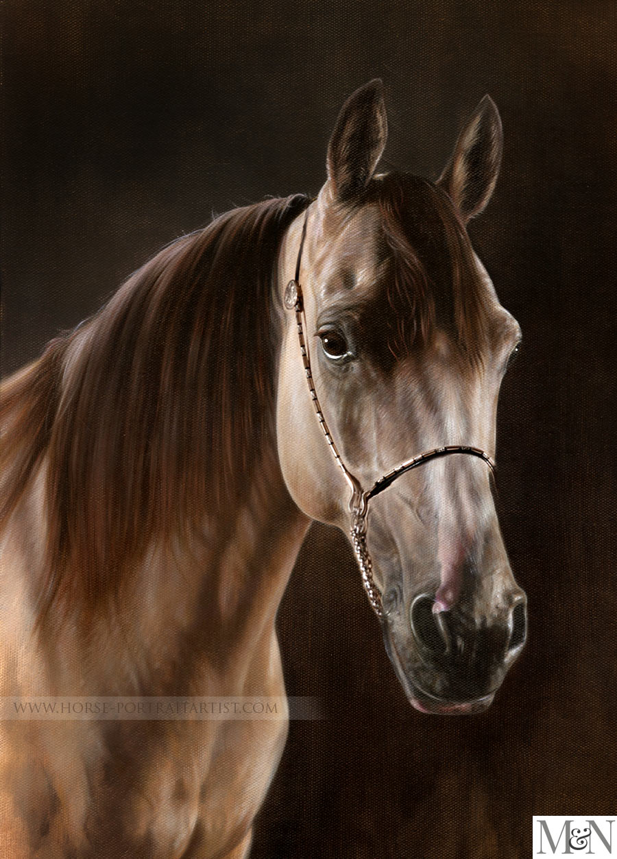 Horse Painting Oils