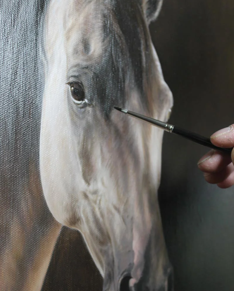 Oil Painting of Horse – Adding Detail Oil painting of Remy the horse, showing progress with added detail.