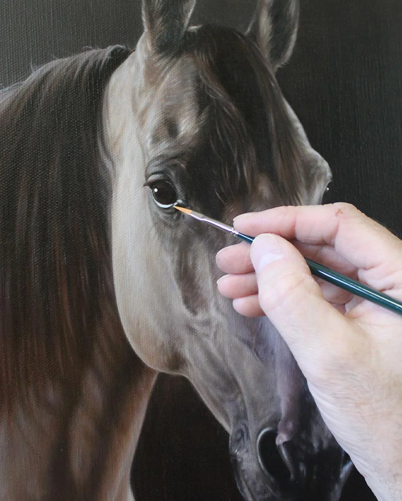 Portrait of Horse in Oils – Nearing Completion Portrait of Remy the horse in oils, nearing completion.