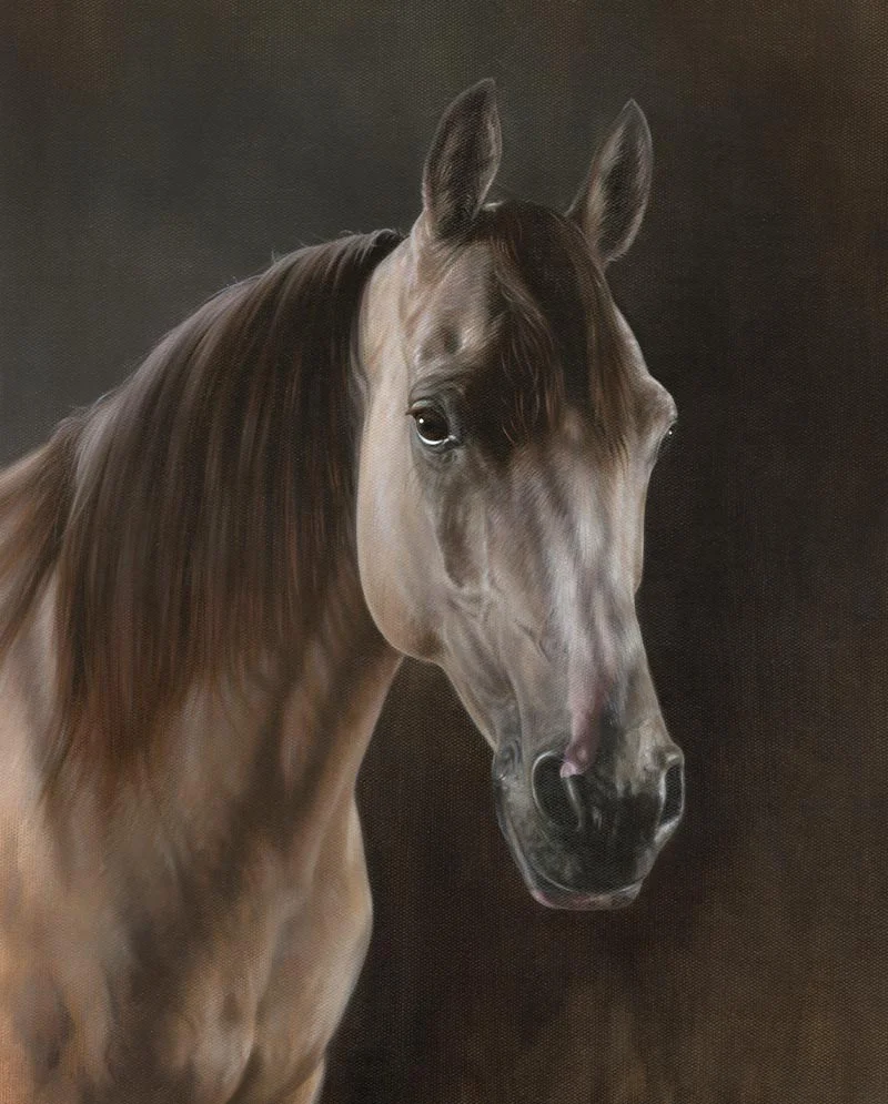 Finished Portrait of Horse in Oils Finished oil portrait of Remy the horse, without a halter.