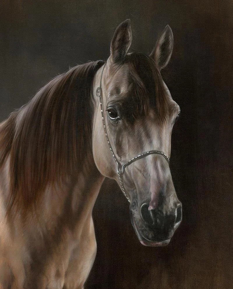 Final Horse Oil Painting – Head Study Final horse oil painting of Remy as a head study, with added halter.