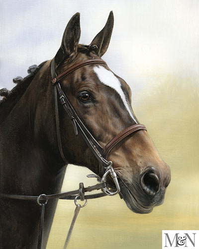 Horse Portraits Oil